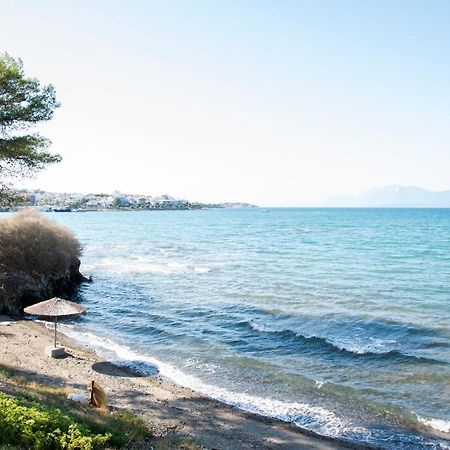 Luxury Premium Suite In Chalkida Bagian luar foto